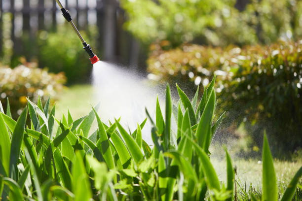 24/7 Emergency Fumigation Services experts in Planada, CA